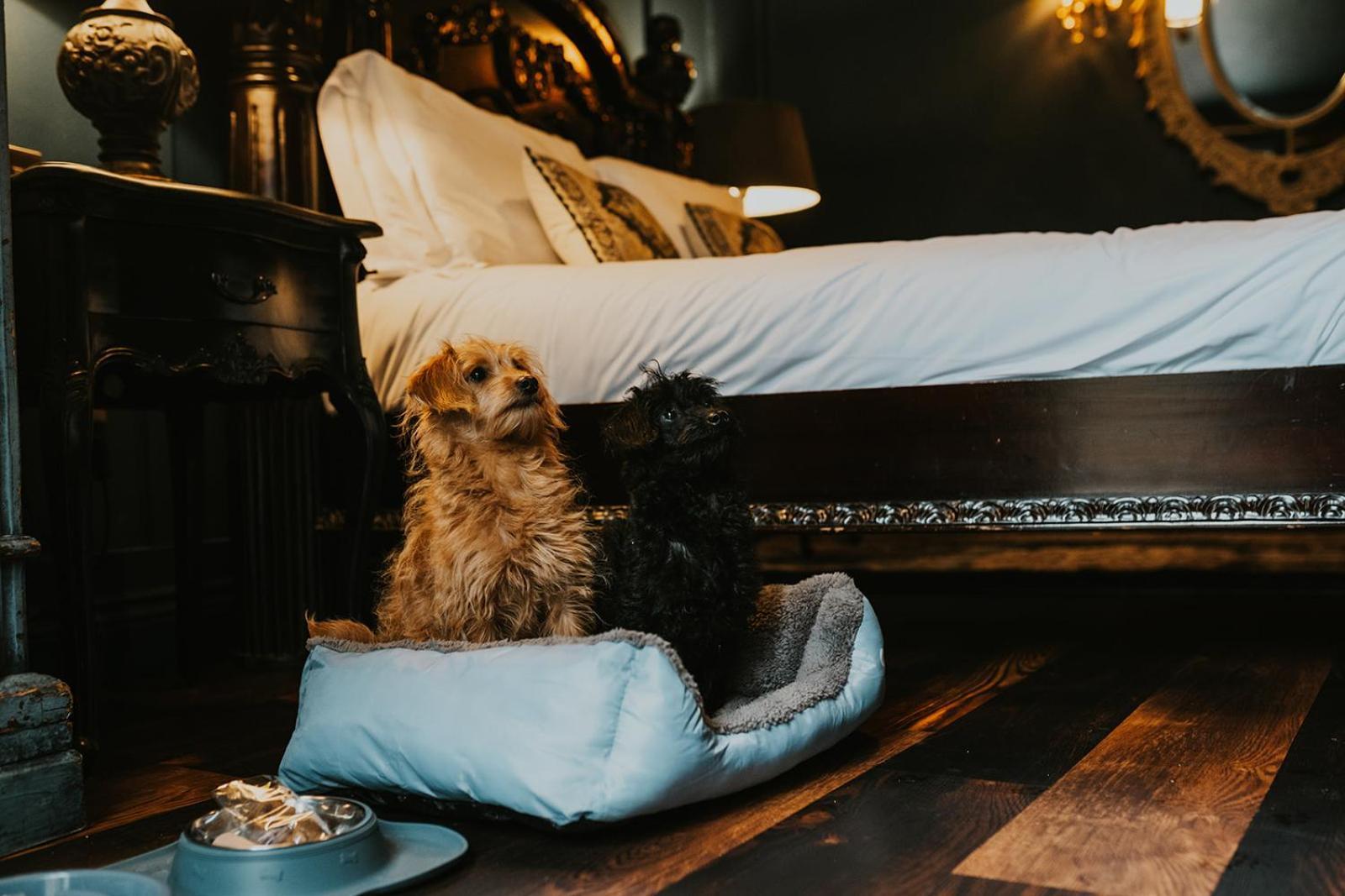 Hotel Le Petit Chateau & William De Percy Otterburn